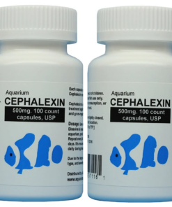 Aquarium_Cephalexin_500mg