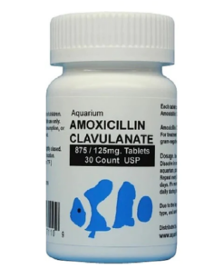 fish-amoxicillin