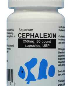 fish-cephalexin