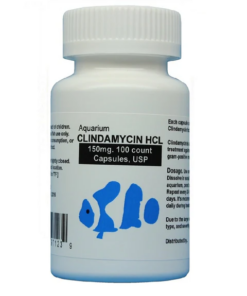 fish-clindamycin