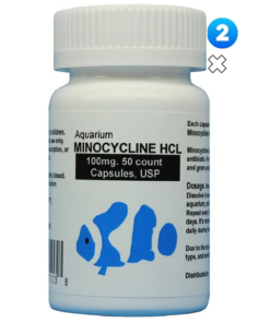 fish-minocycline